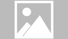 鲨鱼动画短视频,鲨鱼动画短视频揭秘海洋霸主