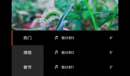 教学短视频,轻松掌握知识新技能